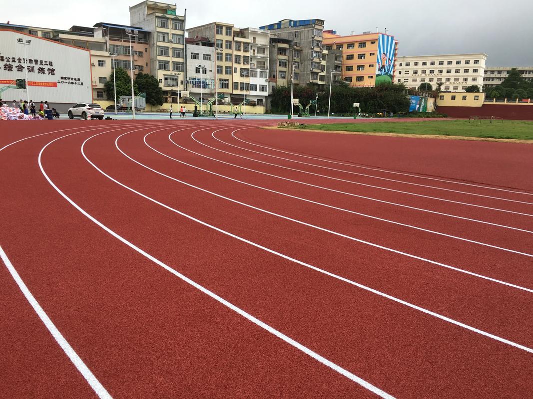 台州市塑胶跑道材料塑胶跑道材料 - 排名